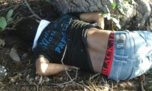 foto: luiz ernandes