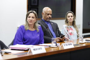 Audiência Pública Dia Nacional do Aleitamento materno