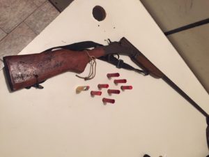 Arma apreendida em Ananás