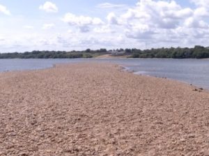 Rio Tocantins está secando em vários pontos, no município de Miracema e Tocantínia (Foto: TV Anhanguera)