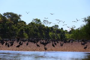 Rio Itacaiúnas