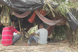 Trabalhadores resgatados em fazenda-zoológico no Maranhão viviam em tendas improvisadas. (Créd: MTE)