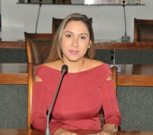 deputada luana ribeiro