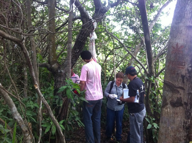 Jovem é encontrado enforcado na beira do Lago Azul