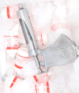 Vacinação contra aftosa será lançada em Nova Olinda neste sábado