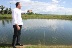 Senador Ataídes Oliveira (PROS)