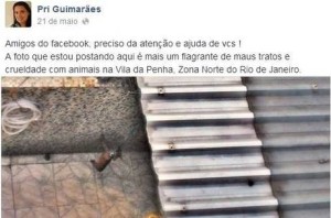 Cão pendurado em um varal pela coleira era agredido com um pano
