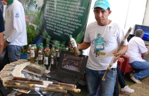 processo seletivo do Colégio Estadual Agrícola Dr. José de Souza Porto, em Pedro Afonso