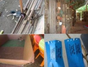  53 galos foram resgatados