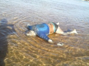 IMG-20140726-WA0089-350x262