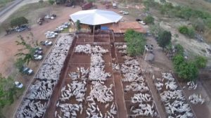 1º Mega Leilão Divinópolis ocorre no próximo dia 14: expectativa é de movimentar R$ 12 milhões