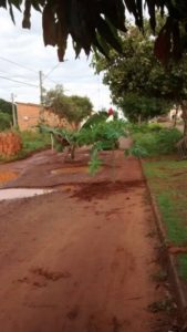 Foto: (Bico 24 horas)