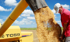 Os incentivos do Governo aos produtores favorecem o crescimento da produção de soja no Estado