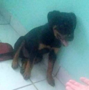 10399806_982523645161827_7650445624893543926_n