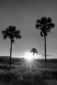 Belezas naturais podem ser preservadas com o ICMS Ecológico