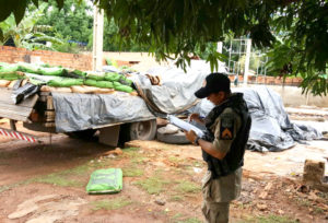 apreensao-sementes-6