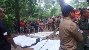 whatsapp-image-2016-11-01-at-16-31-18