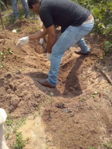 Corpo encontrado no setor serra dourada em Araguaína - Foto: NT