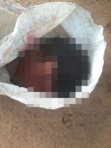 7971e768-145c-4f25-b73f-c9fe2df5015e