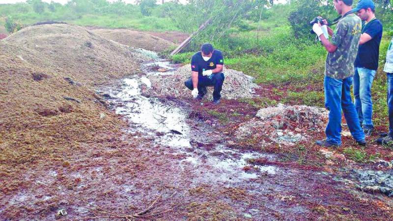 Marabá: JBS é condenada a pagar mais de R$ 4 milhões por crime ambiental