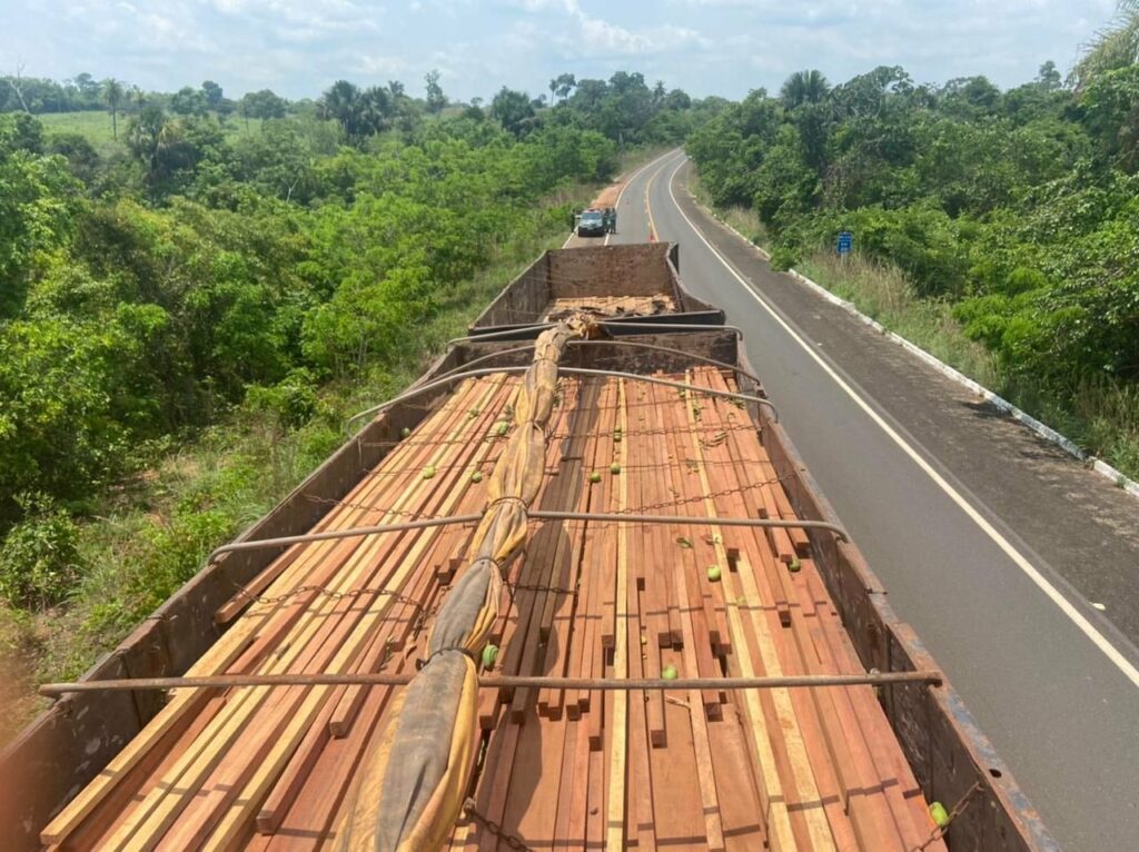 PRF apreende carga ilegal de madeira extraída ilegalmente e de árvores nativas de corte proibido, no norte do Tocantins