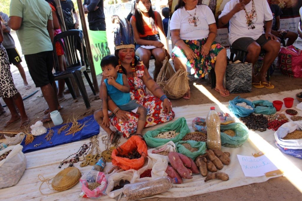 UFNT reafirma compromisso com a cultura indígena na XIV Feira Krahô de Sementes Tradicionais